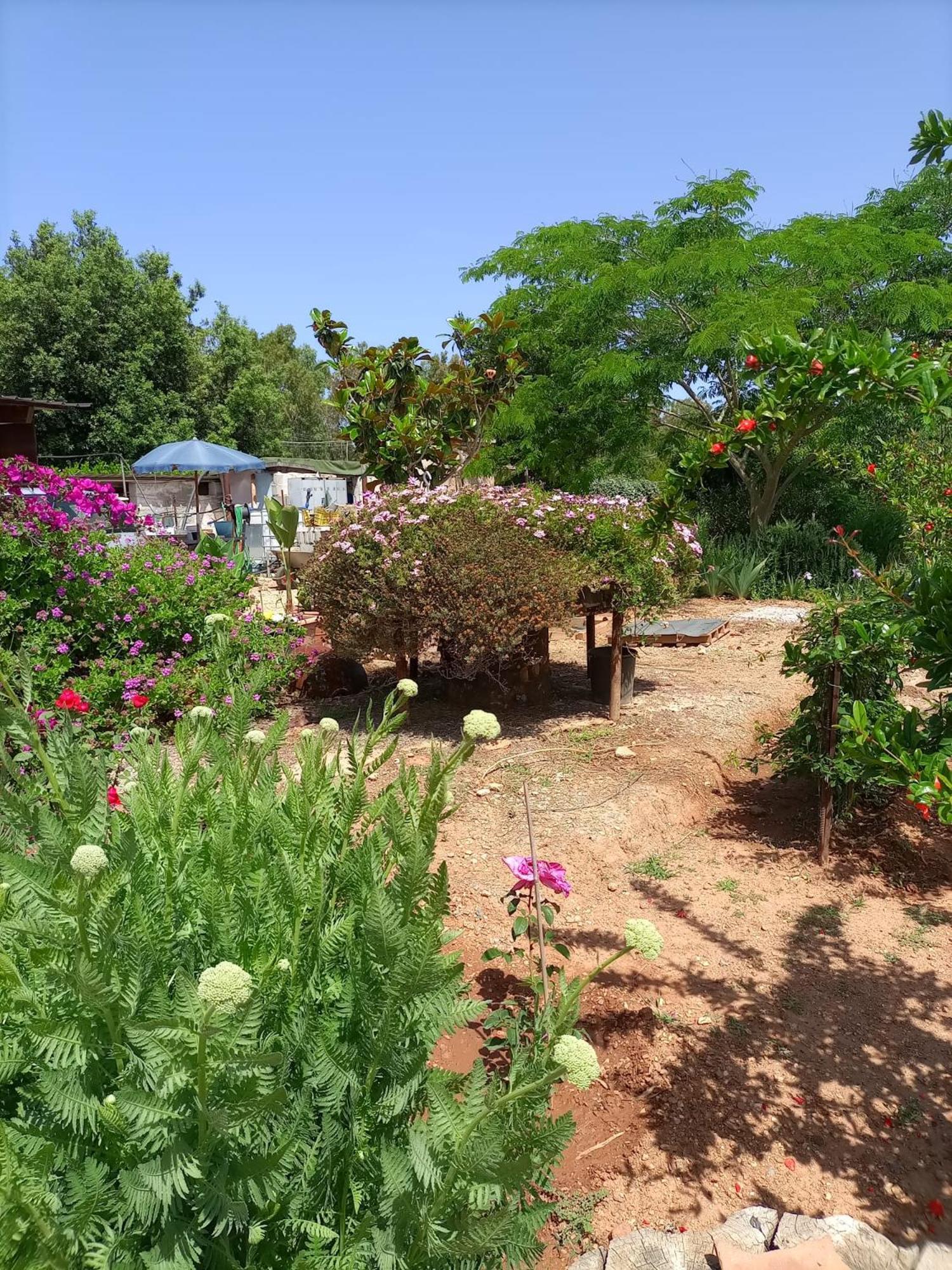 La Palma Holiday home *