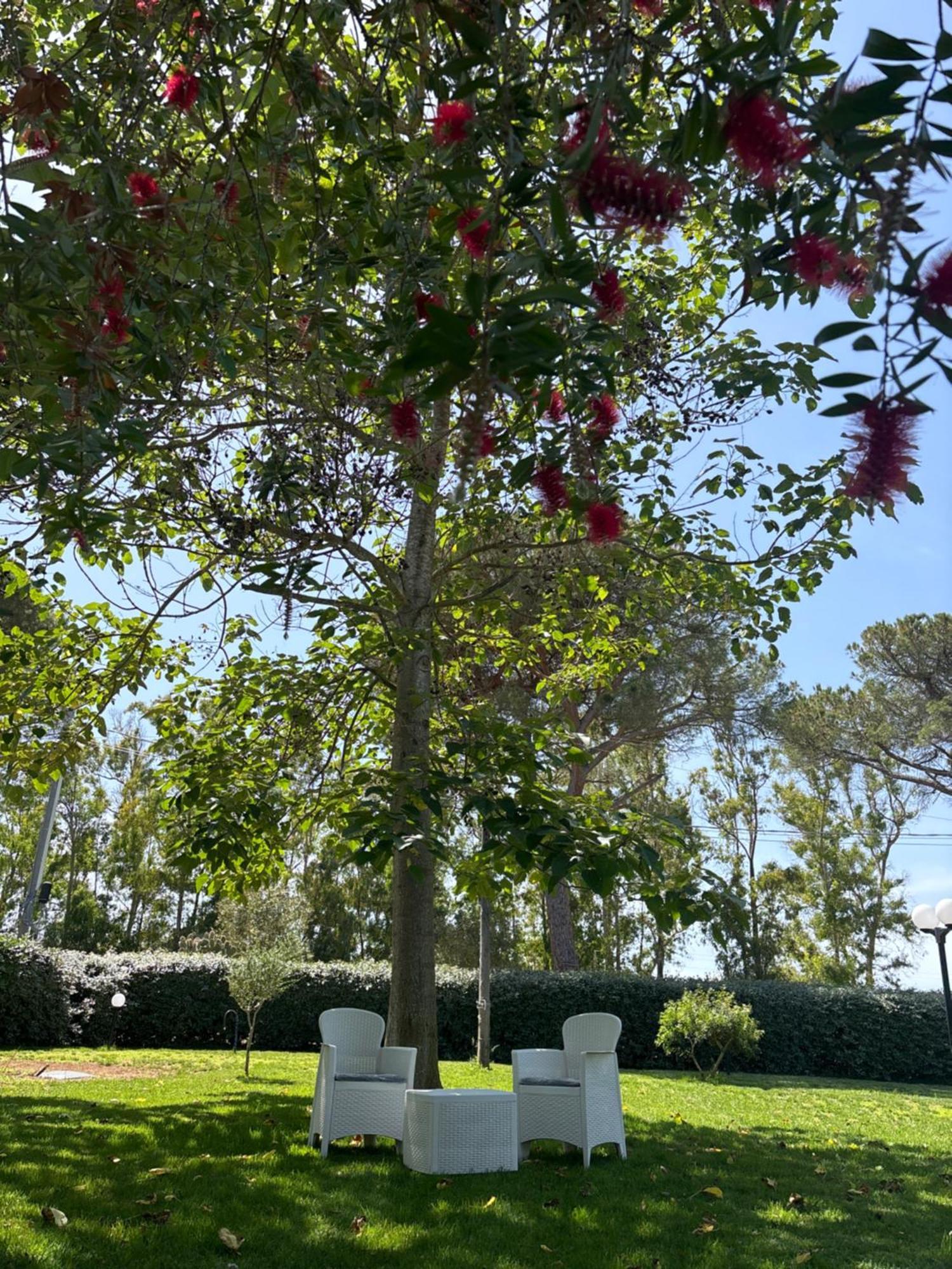 Holiday home La Palma Alghero