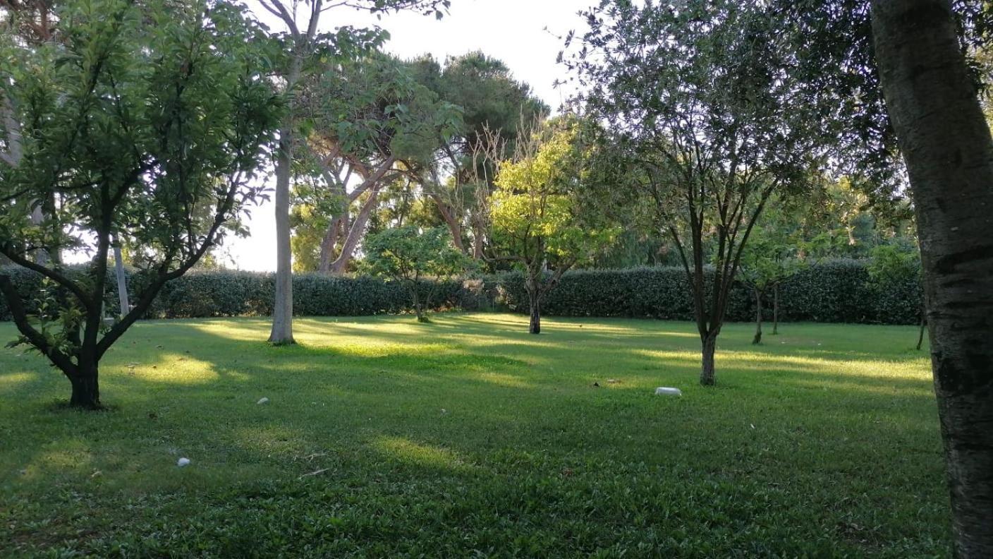 Holiday home La Palma